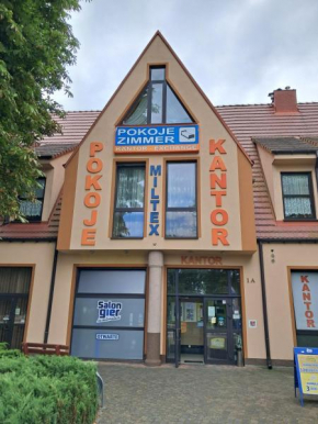 Miltex, Gmina Torzym